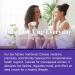 Laicuherb Multi-symptom Menopause Relief Herbal Tea Organic Hormone Balance for Women Helps with Night Sweats Mood & Hot Flashes & Stress Relief Menopause Support Complex with 7 Herb - Buy Online on GoSupps.com