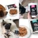 Tales & Tails - Wet Dog Food - 100% Icelandic Cod - Grain Free - Natural & Nutrient Rich - Sugar Free - 8 x 100g - Buy Online on GoSupps.com
