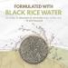 Buy Black Rice Water Shampoo Bars - Natural Hair Growth & Shine | Set of 2 - Sulfate-Free with Argan Oil & Murumuru Butter - Buy Online on GoSupps.com