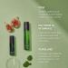 Korean CICA Mist Toner - Alcohol-Free, Soothing & Hydrating - 1.7 oz - Buy Online on GoSupps.com