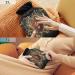 Iris Mardi Grass Hot Water Bottle 1L | Pain Relief | Heat & Cold Compress | International Shipping - Buy Online on GoSupps.com