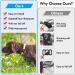 Dog Collar Holder for Galaxy SmartTag2 - Waterproof Silicone Protective Cover for Pets & Cats Anti-Loss & Scratch-Resistant (Black/Olive Green 2-Pack) - Buy Online on GoSupps.com