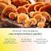 MegaFood Superfood Mushroom Stress Relief - Reishi Mushroom Supplement Clinically Studied to Reduce Stress - Doctor Formulated with Ashwagandha KSM 66 - Vegan Gluten-Free - 60 Capsules 30 Servings - Buy Online on GoSupps.com