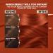 Nutrisse Ultra Color Nourishing Creme RC1 Copper Red Hair Dye - 2 Count Pack - Buy Online on GoSupps.com