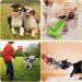 KIPRITII 20 Pack Dog Chew Toys for Puppy - Teething Toys with Rope and Squeaker for Small Dogs - Buy Online on GoSupps.com