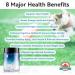 NMN Supplement for Dogs Pet Essentials NAD+ Supplement Alternative-Supports Cellular Longevity Strengthens Immune System Joint and Hip Support Energy Metabolism-60 Capsules (Large Dog) - Buy Online on GoSupps.com