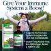 Nature's Answer Sambucus Black Elderberry 12000 mg - Immune Support - 8 fl oz (240 ml) - Buy Online on GoSupps.com