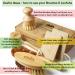 EKOH 6-Pack Bamboo Brushes & Loofah Sponges Set | Dry Brushing Body, Nail & Feet Scrubber | Bottle & Dish Brush | Natural Soft Bristles | Home Shower & Bath Essentials - Buy Online on GoSupps.com