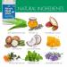 Miracle Heel Stick 2.5 oz & Foot Repair 1 oz | Pure UltraAloe Gel | Promotes Healthy Feet & Heels - Buy Online on GoSupps.com