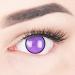 Buy Purple Violet Crazy Fun Contact Lenses - Top Quality Annual Lenses for Carnival & Halloween | Free Lens Container - Buy Online on GoSupps.com