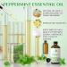 EVOKE OCCU Peppermint Essential Oil and Thyme Essential Oil - 4 Fl Oz - Buy Online on GoSupps.com