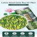 Lotus Seed Core Tea for Men 2023 New Lotus Seed Core Tea for Men Lotus Seed Core Tea 60g (2box) - Buy Online on GoSupps.com