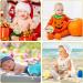 16-Piece Wooden Jungle Animal Baby Milestone Cards | Double-Sided Safari Monthly Markers for Newborn Photos | Baby Shower Photo Props - Buy Online on GoSupps.com