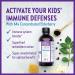 New Chapter Elderberry Kids Syrup - 4 fl oz | Natural Immune Support for Children - Buy Online on GoSupps.com