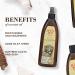 Burt's Bees Hydrating Waterless Dog Shampoo with Coconut Oil - 12 fl oz - Buy Online on GoSupps.com