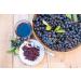 Mynatura Organic aronia berries dried aronia berries vitamins minerals vegan raw vegetables 2000g - Buy Online on GoSupps.com