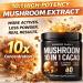 Instant Mushroom Powder 10:1 Cordyceps Mushroom Supplement with Reishi Chaga & Shiitake Caffeine-Free Nighttime Drink with B6 B12 D + Probiotics Mushroom Cacao Organic Blend (No Sweetener) No Sweetener 20 servings (2  - Buy Online on GoSupps.com