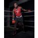 Title Classic USA Boxing Competition Gloves Red 10 oz - Premium Quality for Competitive Boxers - Buy Online on GoSupps.com