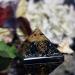 KACHVI Orgone Pyramid | Orgone Crystal Pyramid For Reiki Energy Healing Positive Vibrations Crystal Meditation Spiritual Gift Black Tourmaline Pyramid And Pendant for Mental Peace Multicolor - Buy Online on GoSupps.com