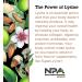 Quantum Health Super Lysine+ | Immune Support with Vitamin C & Echinacea | 90 Tablets - Buy Online on GoSupps.com