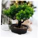 Zerodeko Artificial Pine Potted Plant Mini Fake Potted Plant Office - Buy Online on GoSupps.com