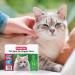 Beaphar Cat Spot On Four Week Protection Flea Repel Solution - Buy Online on GoSupps.com