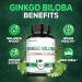 Satoomi 1000mg Ginkgo Biloba Supplements with L-Tyrosine, L-Theanine - 120 Capsules for 2-Month Supply - Support Focus, Mermory Function, Brain Health & Vision Quality 120 Count (Pack of 1) - Buy Online on GoSupps.com
