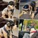 Namsan Anti-UV Dog Glasses & Pet Helmet - Windproof Eye Protection Sunglasses for Small/Medium Dogs - Cool Motorcycle Helmet Black - Buy Online on GoSupps.com