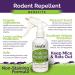 Rodent Repellent Spray 2X Strength - Peppermint Oil - MAX Power for Home, RV, Car, Camper, Boat - Natural Mouse & Rat Repellent (2 Pack) - Buy Online on GoSupps.com