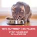 Purina ONE +Plus Dry Cat Food Indoor Advantage Salmon - 3 kg Bag 3 kg (Pack of 1) - Buy Online on GoSupps.com