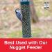 C&S 27 oz Wild Bird Food Nuggets - 6 Pack Peanut Blend - Buy Online on GoSupps.com