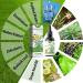 Clearbreath Lot de 2 gouttes base de plantes d'extrait de dendrobium et de mol ne extrait de dendrobium et de mol ne Puissant soutien pulmonaire nettoyage et respiration - Buy Online on GoSupps.com