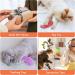 ETEKYER Catnip Toys for Indoor Cats - Interactive Chew Toys with Catnip - Multi-color Cat Pillow Toy for Kitten Kitty - Buy Online on GoSupps.com