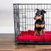 Medium Plastic Replacement Tray for Dog Crate Pan - Fits 24 Crates - Pet Cage Liner for Dogs, Cats, Rabbits, and Ferrets - Buy Online on GoSupps.com