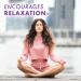 Bluebonnet Nutrition Stress Relief - Vegan Non-GMO Gluten-Free Formula - 30 Vegetable Capsules for Calming & Relaxation - Buy Online on GoSupps.com