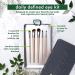 EcoTools Daily Defined Eye Brush Set - 5 Pieces & Storage Tray for Perfect Eye Makeup - Buy Online on GoSupps.com