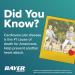 Bayer Aspirin 81mg Enteric Coated Tablets 300ct & 325mg Travel Pack Bundle - International Shipping Available - Buy Online on GoSupps.com