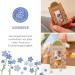 City Gardeners Trostspender: Forget-Me-Not Glass Gift | Handmade Consolation for Friends Teachers & Encouragement | Unique Farewell Gift from Germany - Buy Online on GoSupps.com