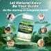 Kava Kava Gummies Kava Kava Root Extract Supplement with Kavalactones Calm Gummies for Stress Relief & Better Sleep Kava Supplement for Women & Men Sugar Free Vegan Non-GMO 60 Count 60 Count (Pack of 1) - Buy Online on GoSupps.com