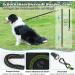Buy Aystkniet Bungee Drag Line for Dogs | Shock-Absorbing Leash with Padded Handle - 3m 5m 10m 15m 20m 30m Options - Reflective Lockable Hook for Medium & Large Dogs - Green - Buy Online on GoSupps.com