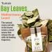 Arselia Wild Dried Bay Leaves Whole 2 Oz | Mediterranean Laurel Nobilis | Premium Quality | Natural All Green - Buy Online on GoSupps.com