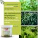 Swissmedicus Breast Balm Ointment - 20 Herbal Extracts for Chest Neck & Forehead - 125ml | Premium International Shipping - Buy Online on GoSupps.com