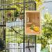 CooShou Parakeet Nest Box - Wooden Acrylic Transparent Breeding House for Lovebirds, Cockatiels, Budgies, Conures, Parrots - Buy Online on GoSupps.com