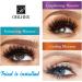 3-Function 4D Eyelash Mascara for Sensitive Eyes - Waterproof, Long-Lasting & Curling Black Mascara - Buy Online on GoSupps.com