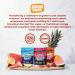 FocusFuel Energy Chews Variety Pack Pineapple & Fruit Punch Flavors (2-Pack 30 Servings Total) 100mg Natural Caffeine + Nootropics Smooth Energy & Focus No Crash or Jitters - Buy Online on GoSupps.com