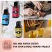 Eternal Essence Namaste Garden Set of 6 Premium Fragrance Oils - Nightly Ritual Citrus Mantra Saje Present Moment & More - Ideal for Candle & Soap Making - 10ML - Buy Online on GoSupps.com