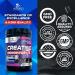 Micronized Creatine Monohydrate Powder - Unflavored 5000mg - Keto Friendly Amino Acid Supplement for Muscle Building - 60 Servings - Buy Online on GoSupps.com