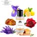 Monac - XERJOFFF Collection - Niche Inspired Perfume - Eau de Parfum - 90%-99% similar Long Lasting 8-15 hour (1.7/50ml) Quality Ingredient (Manifested Inspired by Mefisto (m)) - Buy Online on GoSupps.com