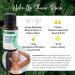 Buy Rocky Mountain Oils Organic Peppermint Essential Oil 15ml - 100% Pure & USDA Organic for Aromatherapy & Topical Use Ships Internationally - Buy Online on GoSupps.com