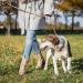 Bokelai 3M Double Ended Dog Training Lead | Adjustable Crossbody Rope Leash for Medium Small Dogs | Hands-Free Army Green Dog Lead - 1.0CM x 3M - Buy Online on GoSupps.com